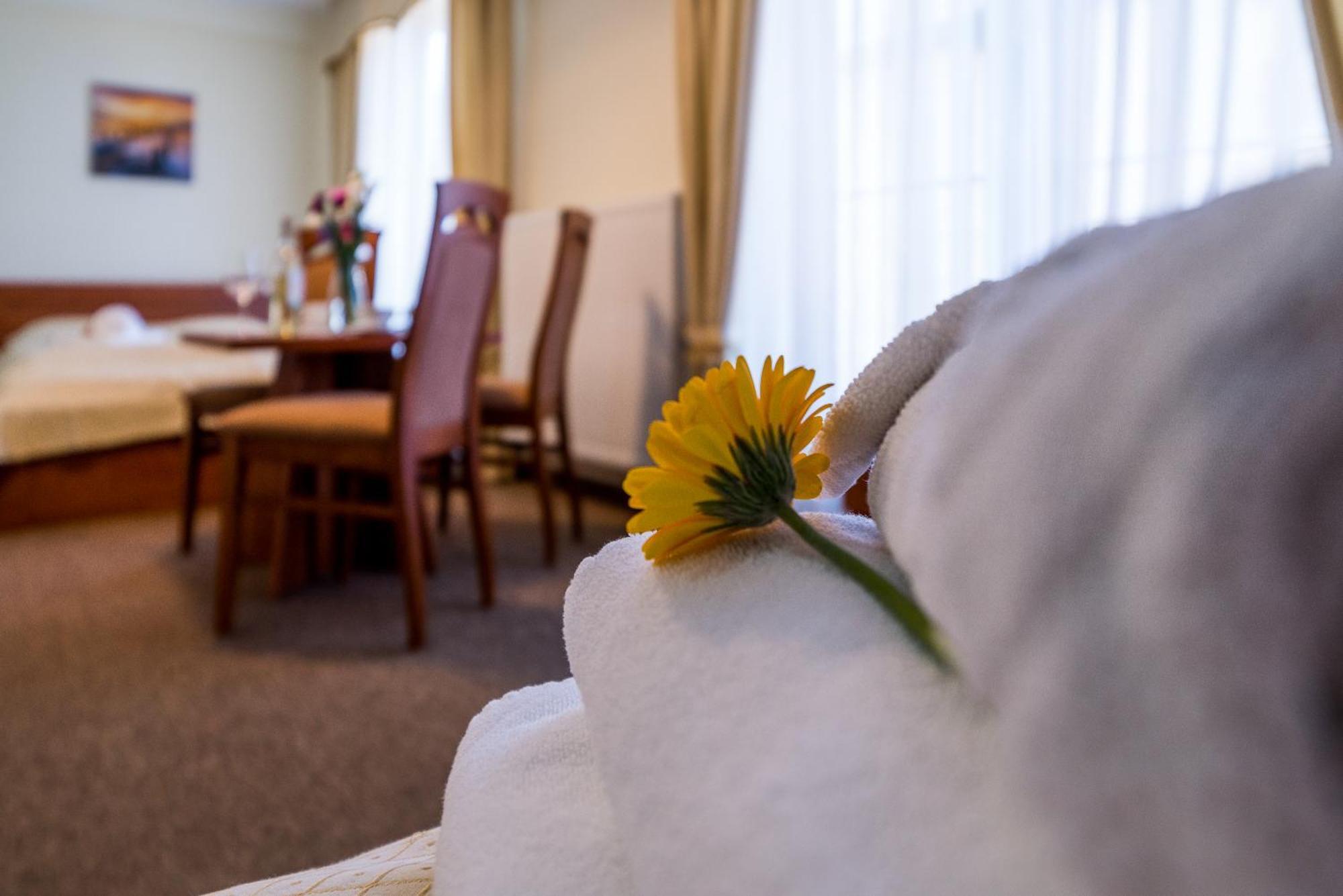 Villa Martii - Komfortowe Apartamenty Z Aneksami Kuchennymi - Spokojna Okolica, Blisko Plazy Władysławowo エクステリア 写真